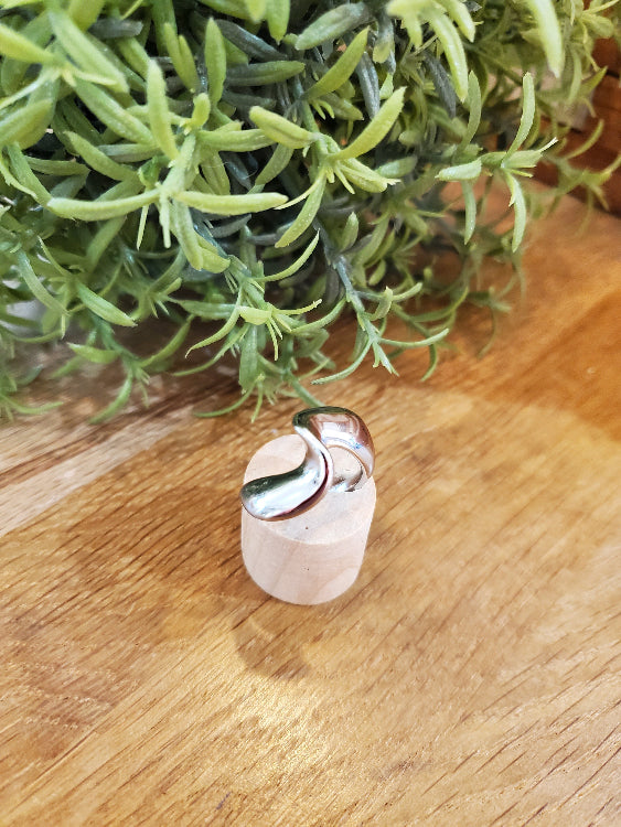 Photo bague cage , colorie argent.
