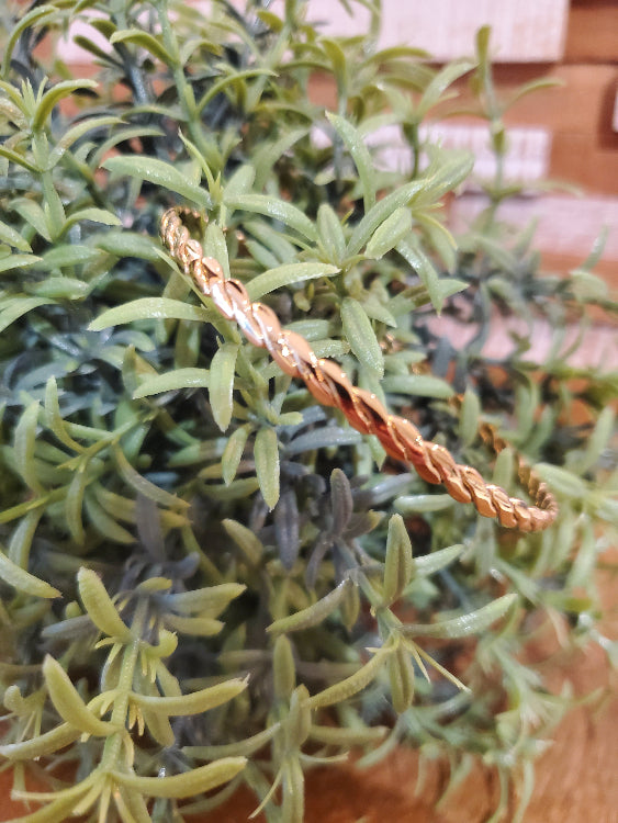 Bracelet jonc torsade . photo ambiance colorie or .