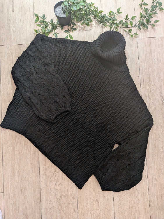 Pull col roulé manches torsade. Colorie noir. 