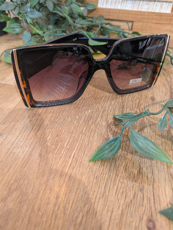 Lunettes de soleil carré en acétate. Colorie écaille. 