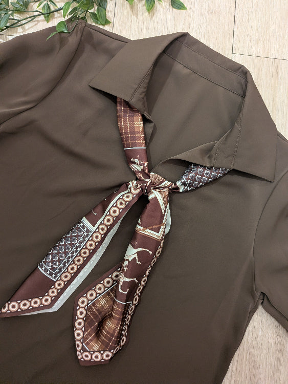 Chemisier cravate foulard. colorie marron. 