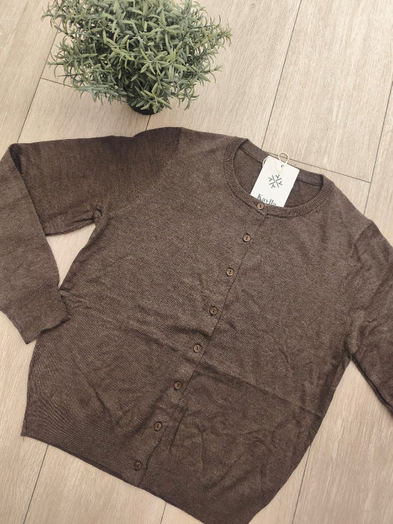 Gilet fin col rond . photo a plat colorie marron. 