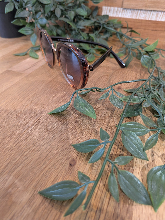 Lunettes de soleil ovales en acétate . colorie marron