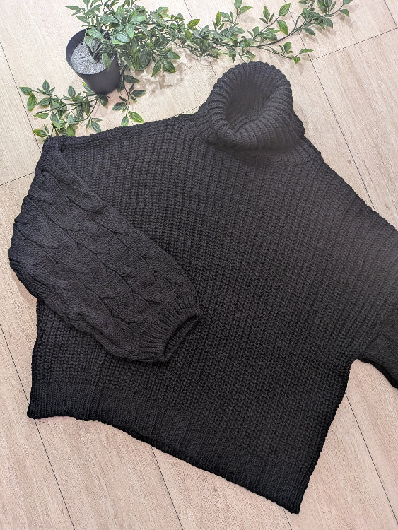Pull col roulé manches torsade. Colorie noir. 