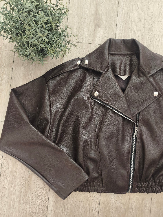 Perfecto marron. photo a plat