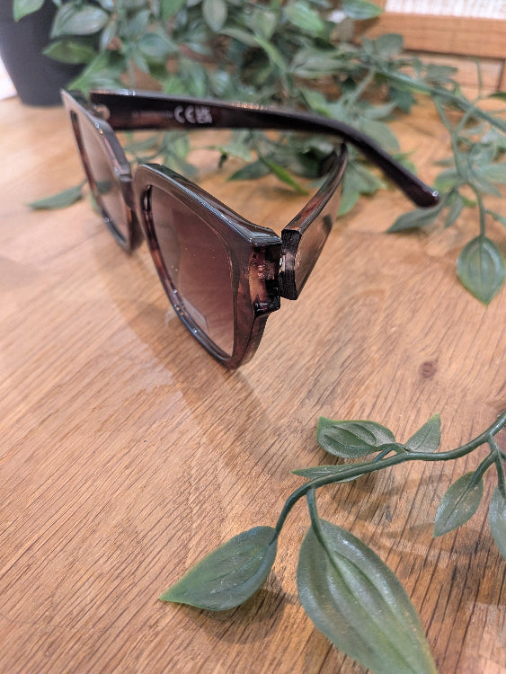 Lunettes de soleil carré en acétate. Colorie écaille. 