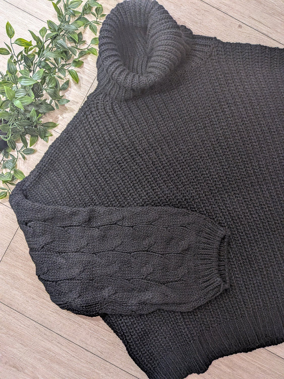Pull col roulé manches torsade. Colorie noir. 