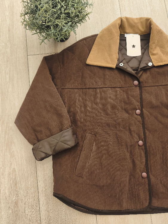 Veste en velours bicolor. 